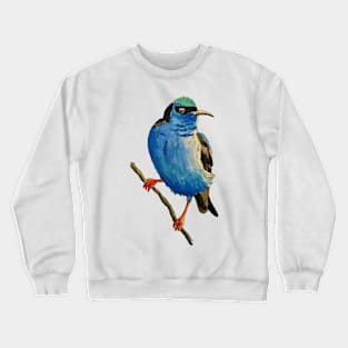 Red Legged Honeycreeper Crewneck Sweatshirt